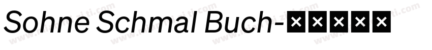 Sohne Schmal Buch字体转换